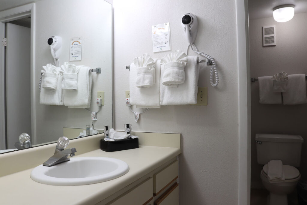 One Bedroom Standard Suite 05